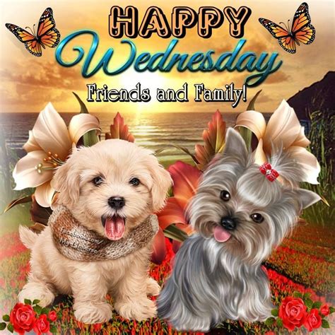 Below are various <strong>happy Wednesday</strong> wishes and messages morning greetings; 1. . Happy wednesday family and friends